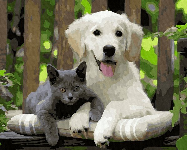 Dog and Cat Friends